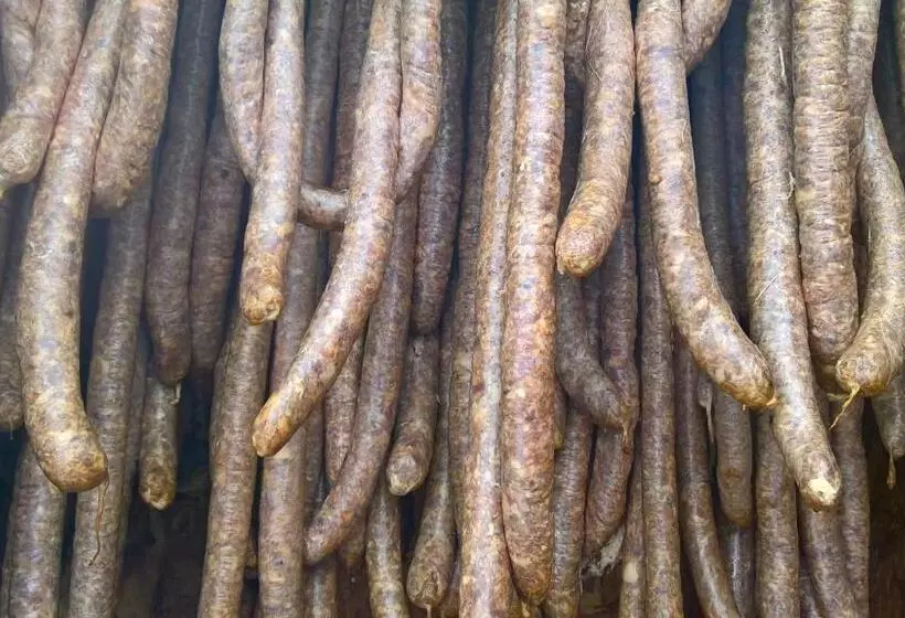 Majatalo Casa Ionela Petreus