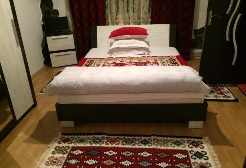 ペンション Casa Ionela Petreus