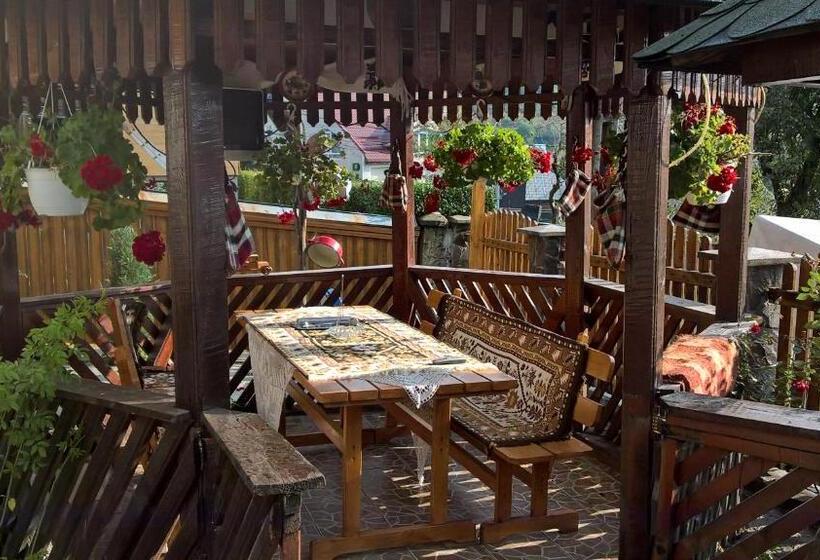 ペンション Casa Ionela Petreus