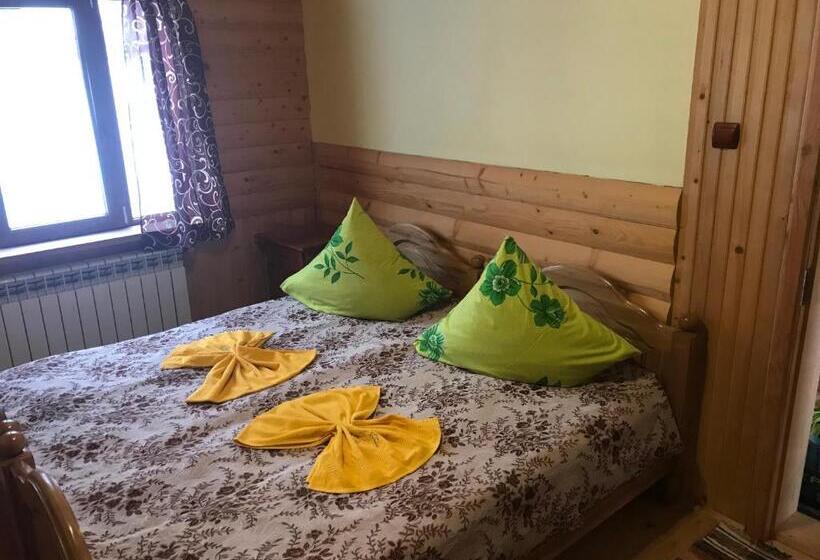 بنسيون Shelest Vody