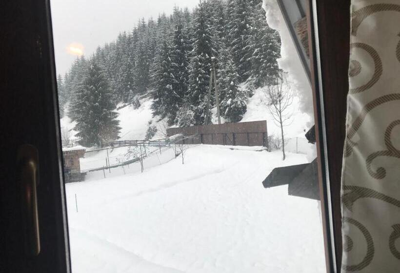 بنسيون Shelest Vody