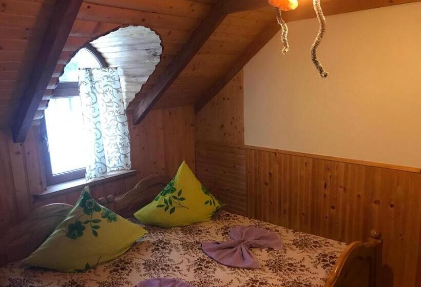 بنسيون Shelest Vody