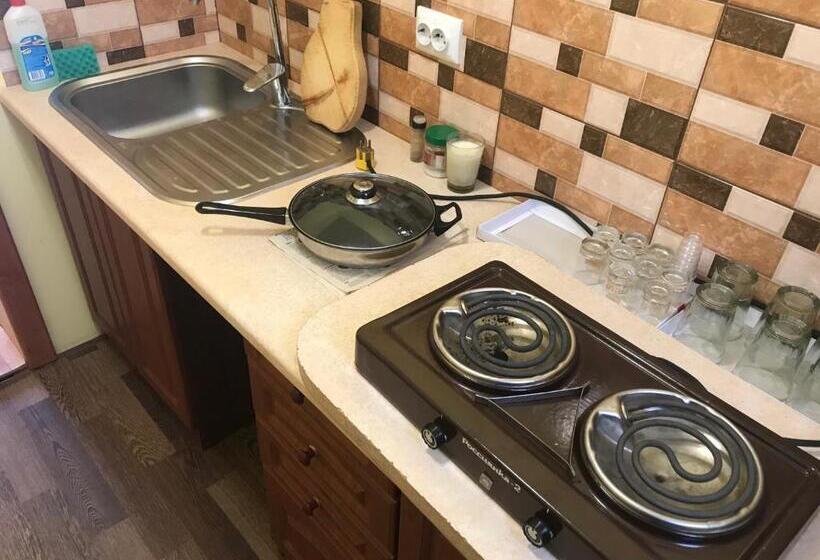 بنسيون Shelest Vody