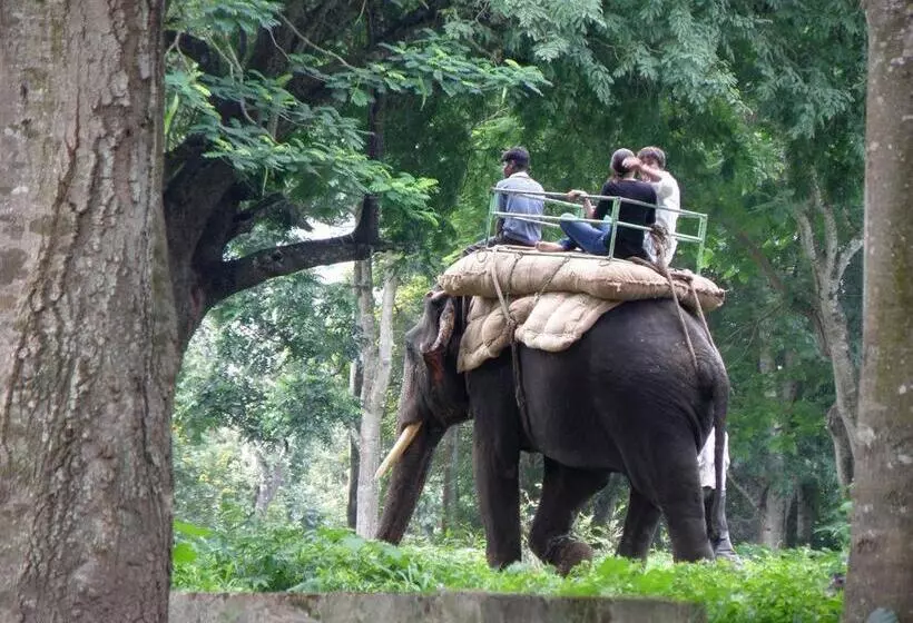 リゾートホテル The Copper Edge