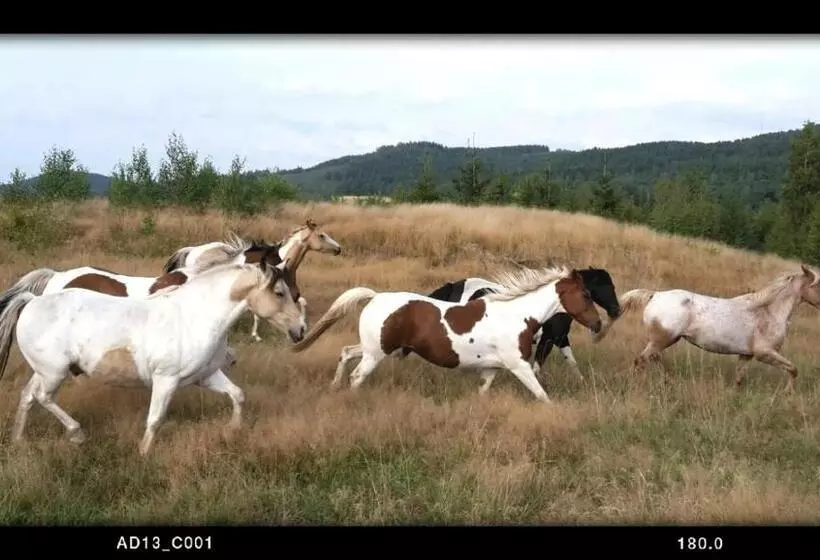 ホテル Eddylou Ranch