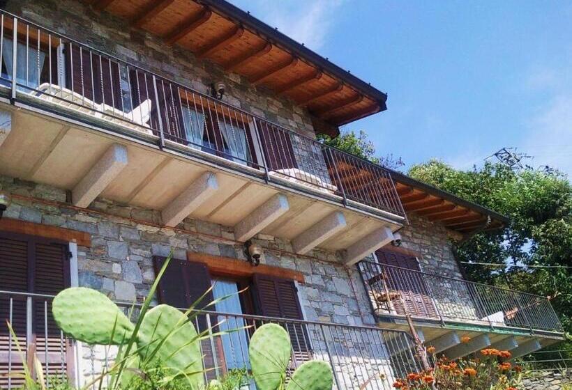 בית מלון כפרי Tamola