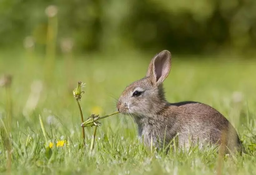 Kosi Bay Hippo Lodge & Resort