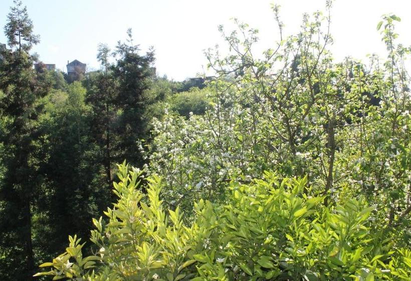 پانسیون Apartment Murad