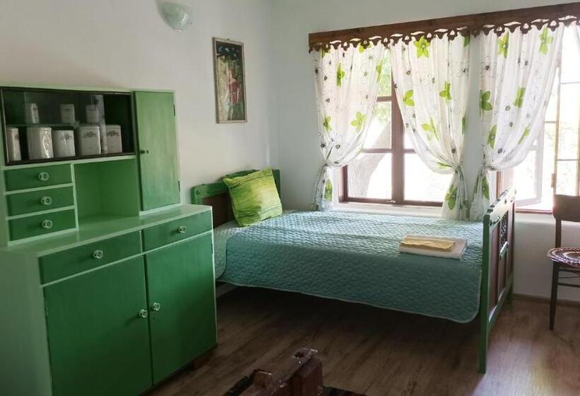 بنسيون Babinata Kashta Srebarna