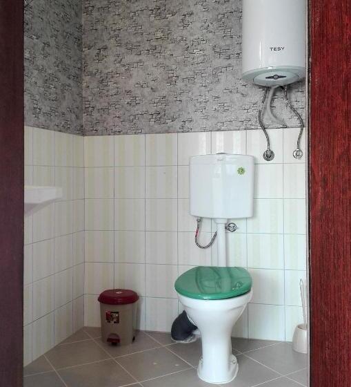 بنسيون Babinata Kashta Srebarna