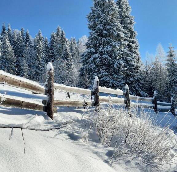 Пансион Dream House