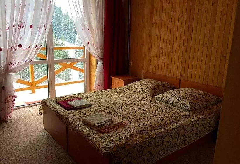 پانسیون Dream House