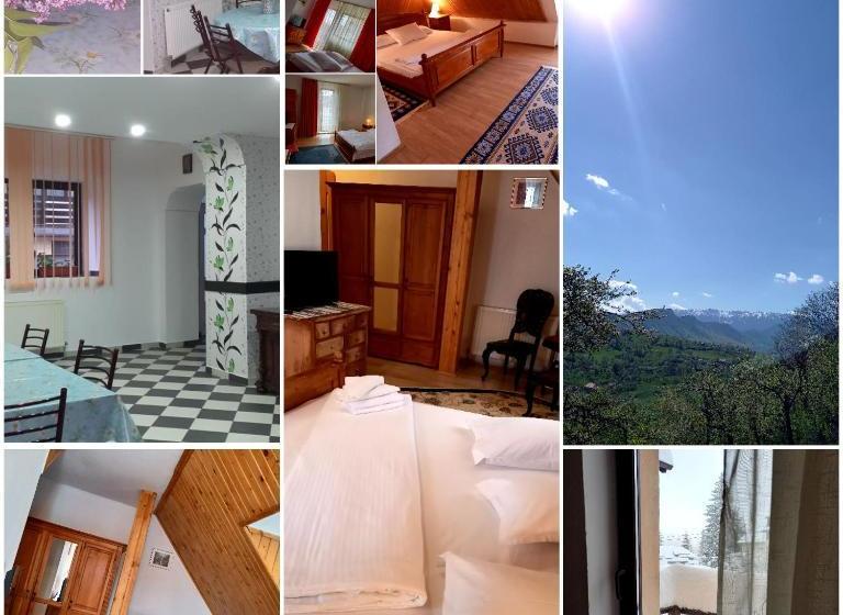 Pensiunea Ialomicioara