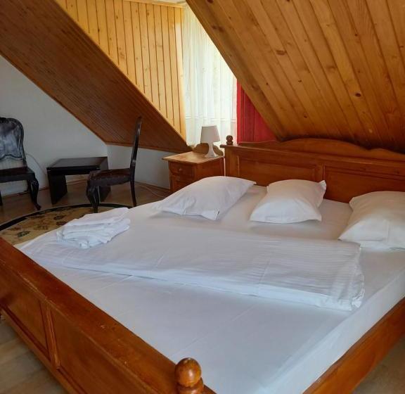 Pensiunea Ialomicioara