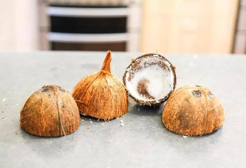 Retkeilymaja The Greenhoose