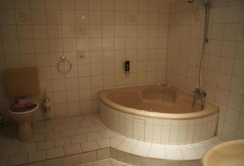 Отель Draschwitz