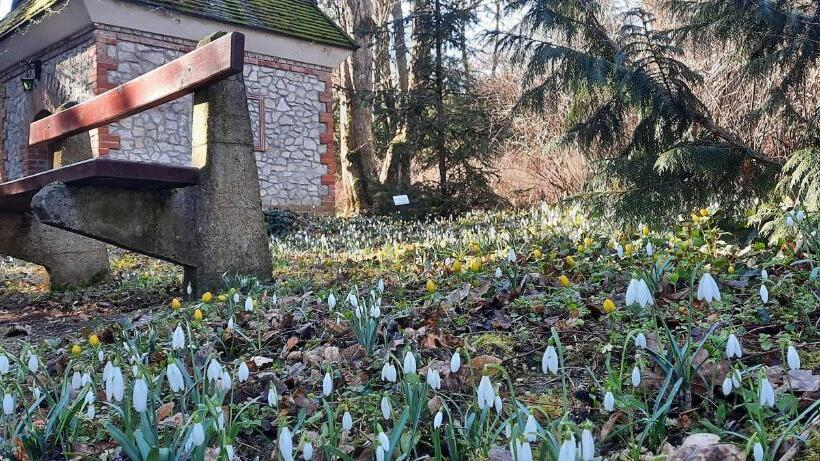 Отель Festetich Kastélyszálló és Zsuzsanna