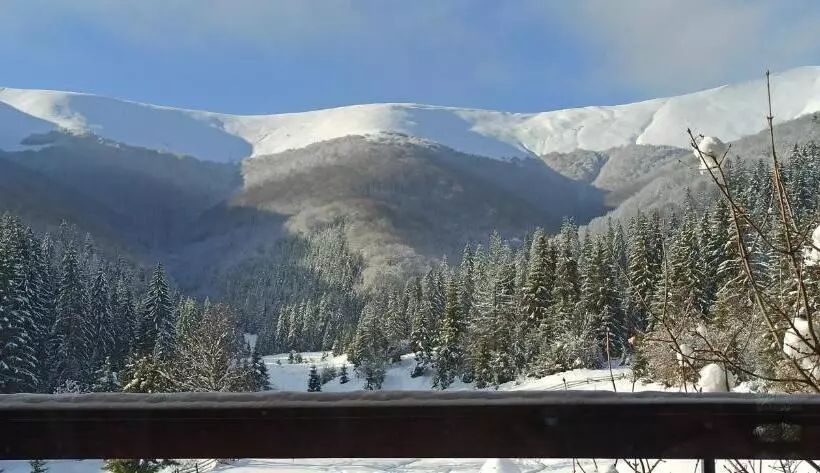 ペンション під горбком
