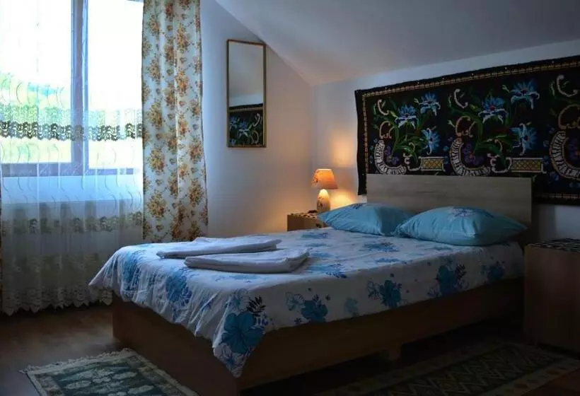 Majatalo Acasa In Maramures