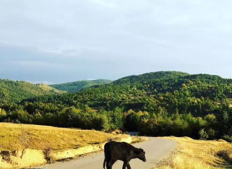 Pensiunea Valea Gepisului