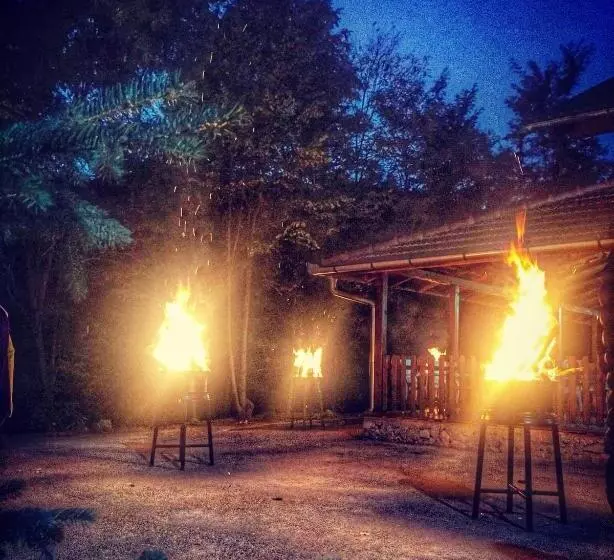 Pensiunea Valea Gepisului