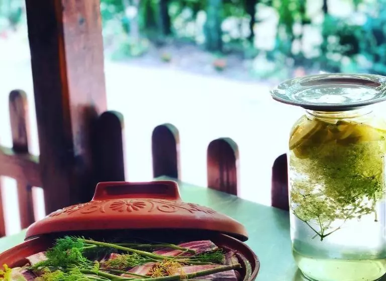 Pensiunea Valea Gepisului