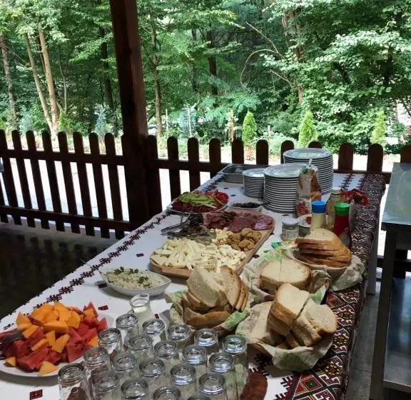 Pensiunea Valea Gepisului