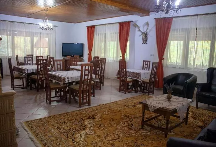 Pensiunea Valea Gepisului