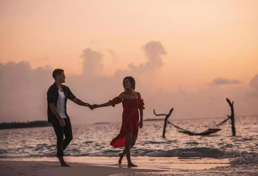 استراحتگاه Angsana Velavaru   15 Percent Off On Return Sea Plane Transfers, Bookings & Stays Between 27 Dec 202