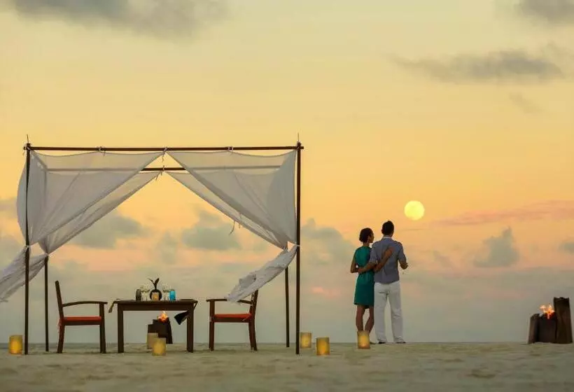 استراحتگاه Angsana Velavaru   15 Percent Off On Return Sea Plane Transfers, Bookings & Stays Between 27 Dec 202