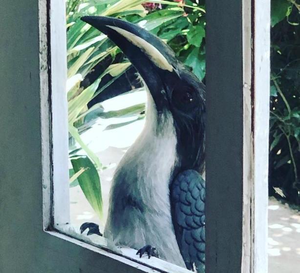 Surrey Bird Sanctuary & Holiday Resort