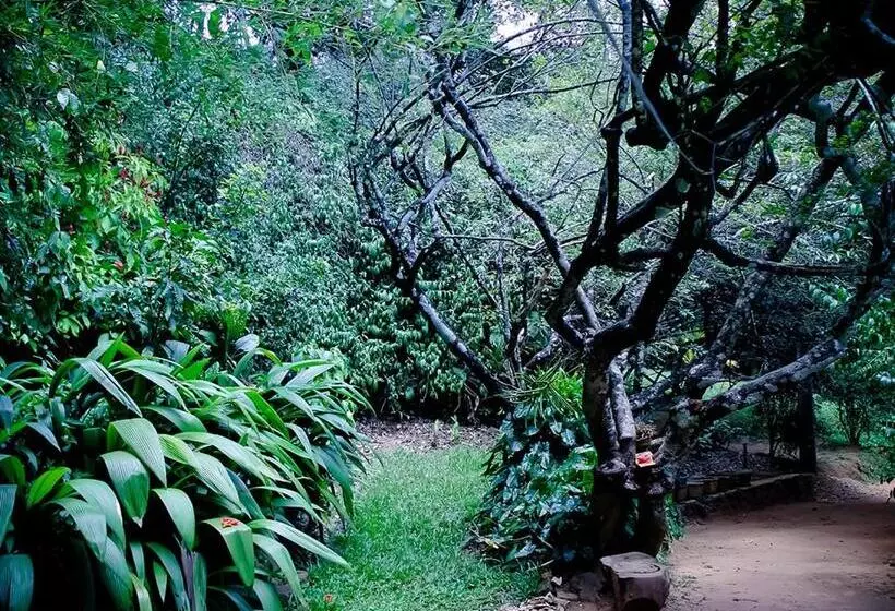 Surrey Bird Sanctuary & Holiday Resort