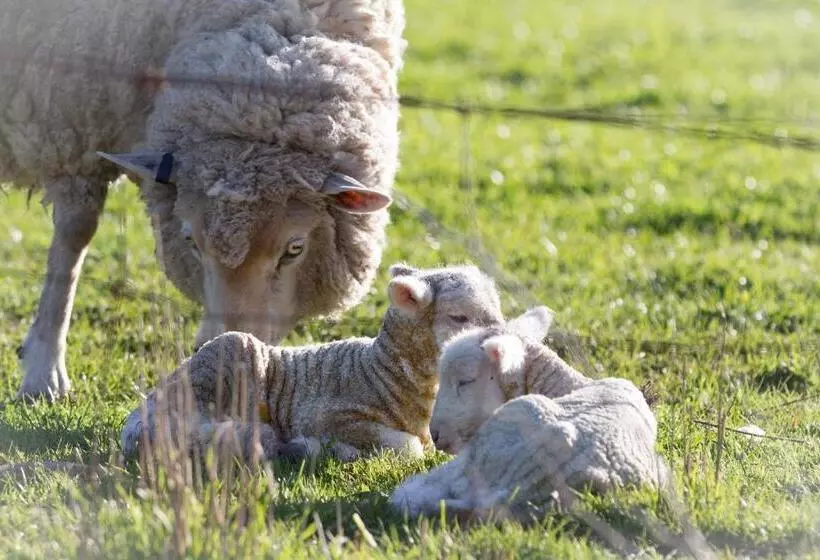 Aamiaismajoitus (B&B) Fellcroft Farmstay