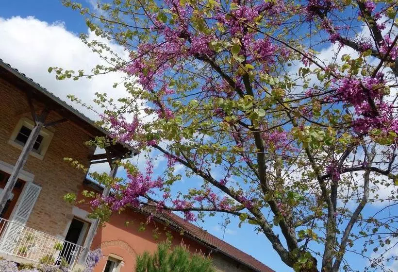 Aamiaismajoitus (B&B) La Petite Madeleine   Chambre D Hôtes & Spa