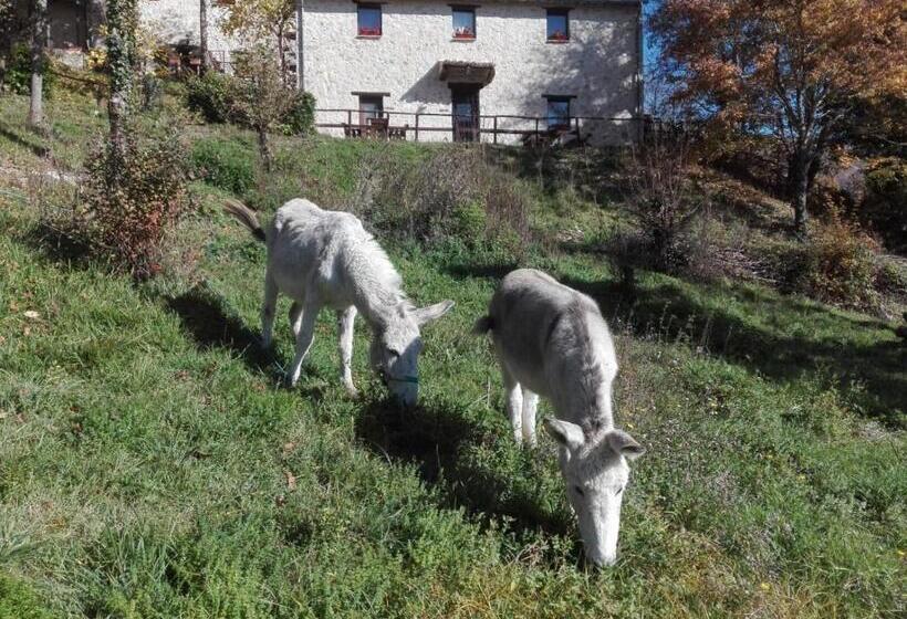 호텔 I Casali Del Buontempo