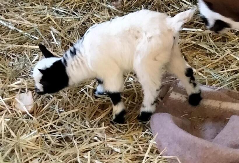 호텔 I Casali Del Buontempo