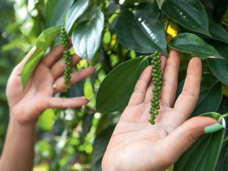 Koh Ker Hotel And Restaurant