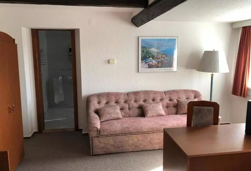 ペンション Penzion Tamara