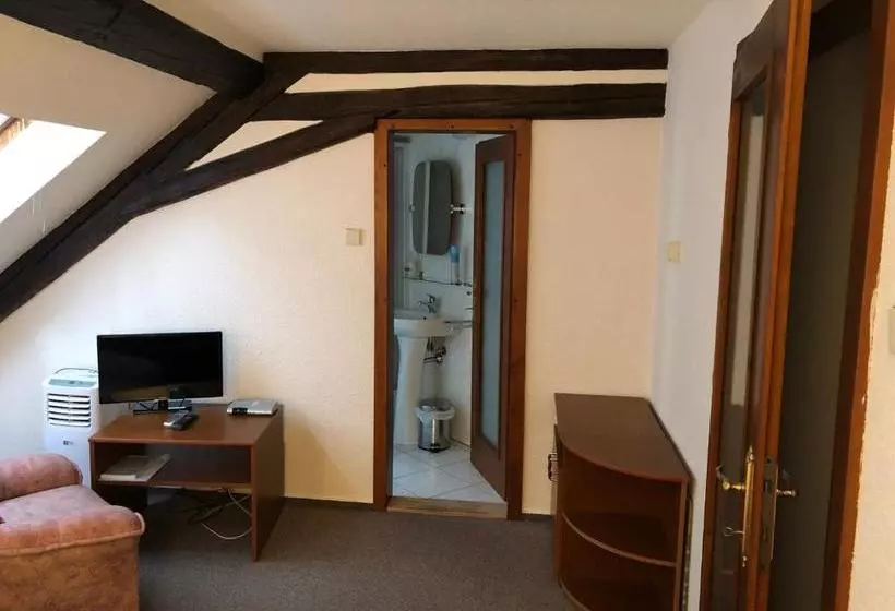 ペンション Penzion Tamara