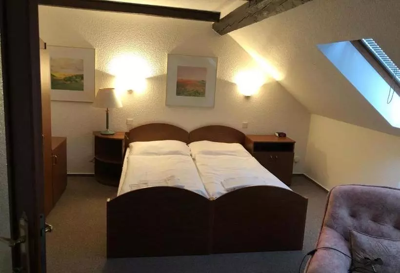 ペンション Penzion Tamara