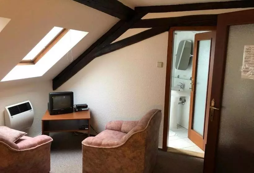 ペンション Penzion Tamara