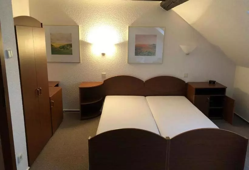 ペンション Penzion Tamara