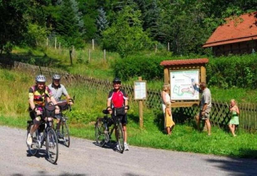 אתר נופש Type Scout 42