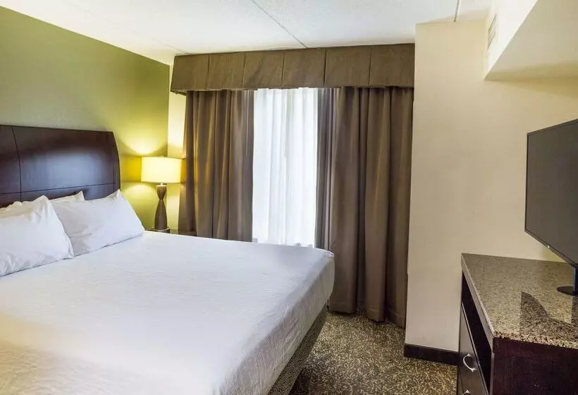 هتل Hilton Garden Inn Hampton Coliseum Central