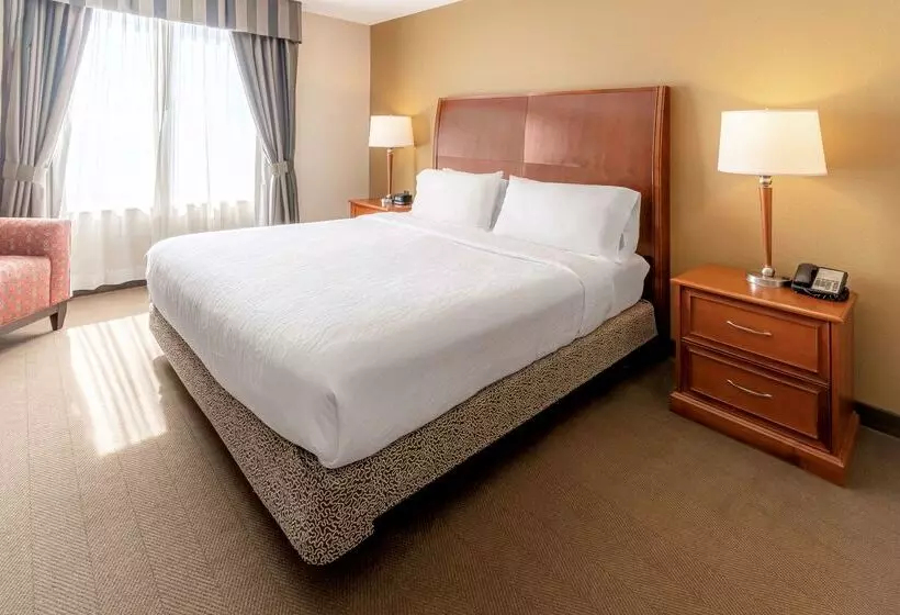 فندق Hilton Garden Inn Houston/the Woodlands