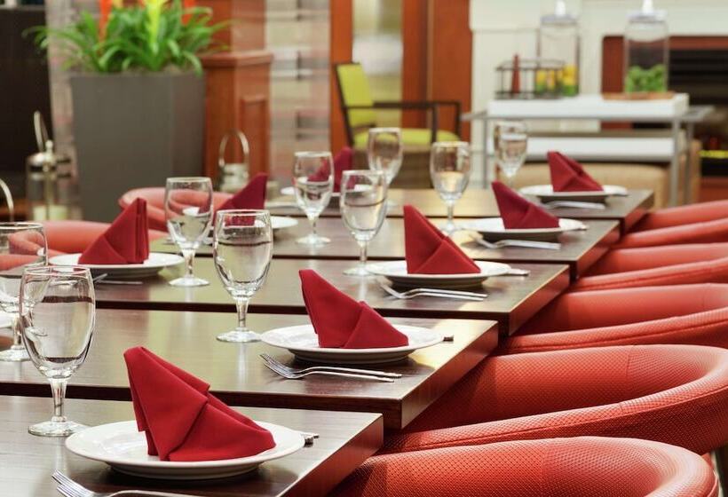 ホテル Hilton Garden Inn Houston/the Woodlands