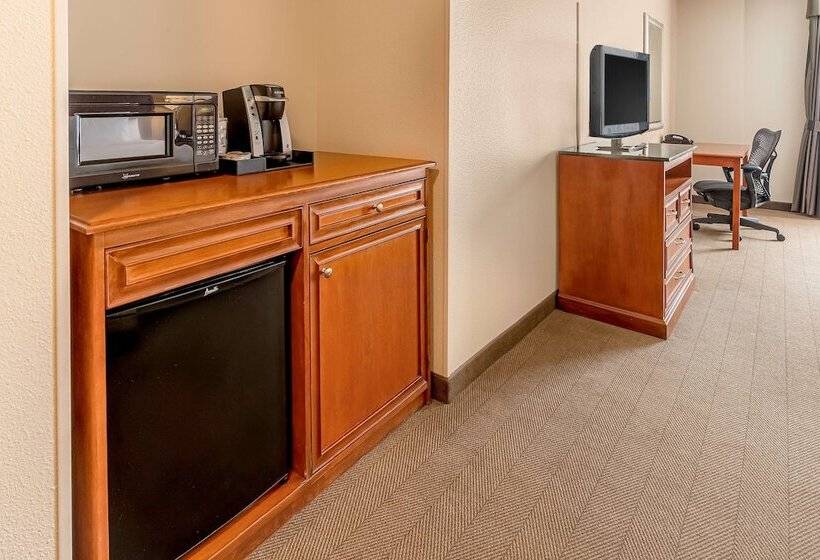 ホテル Hilton Garden Inn Houston/the Woodlands