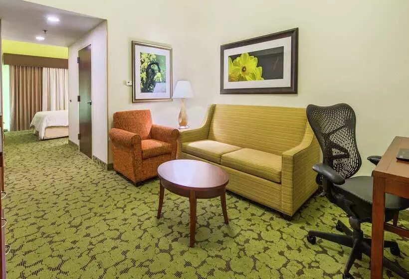 هتل Hilton Garden Inn Macon / Mercer University