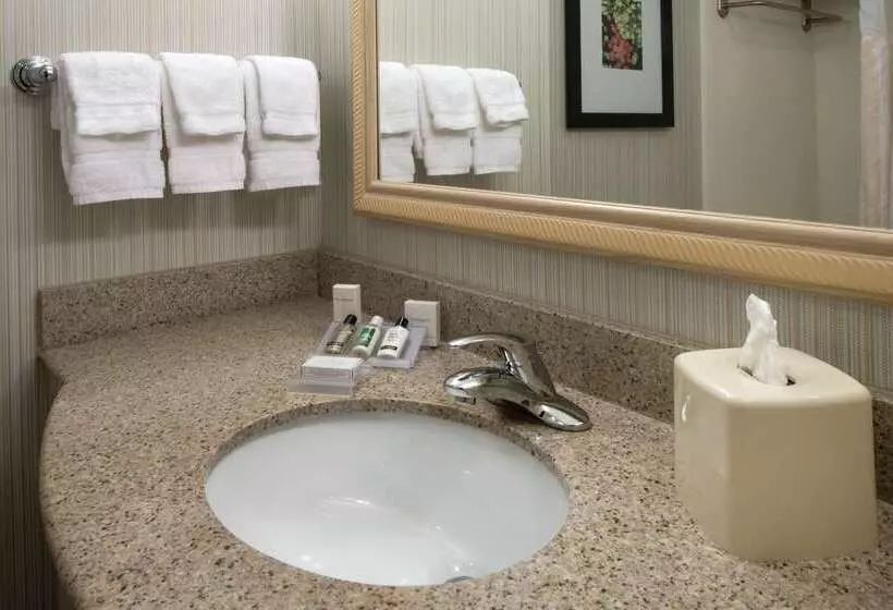 هتل Hilton Garden Inn Macon / Mercer University