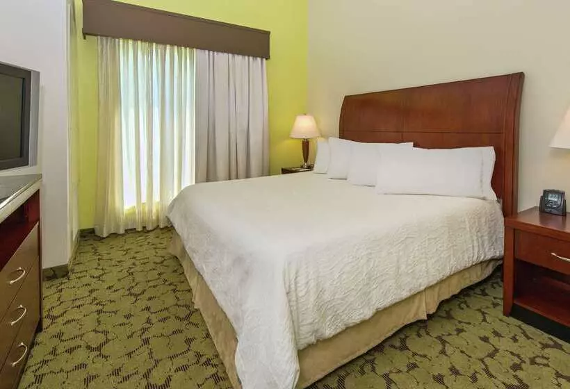 هتل Hilton Garden Inn Macon / Mercer University